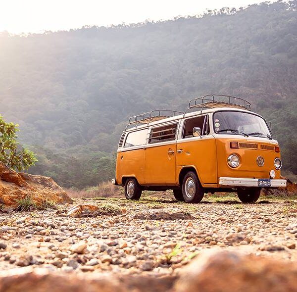 Kochi – Athirappilly – Munnar (Package 8)